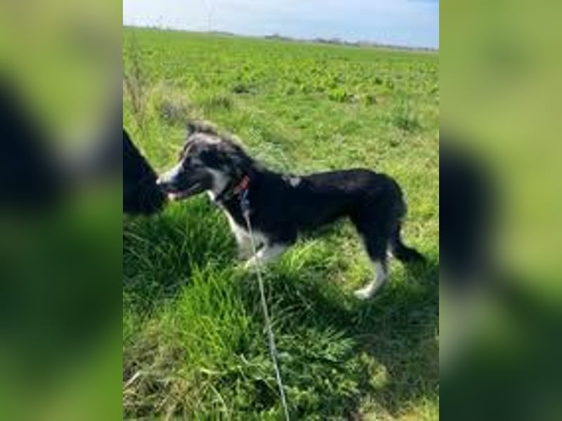 RONDA ❤  wartet in 42281 Wuppertal auf Dich