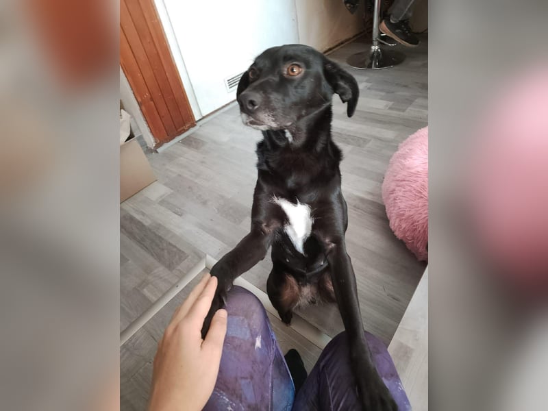 HACITA ❤  wartet in 98553 Schleusingen auf Dich
