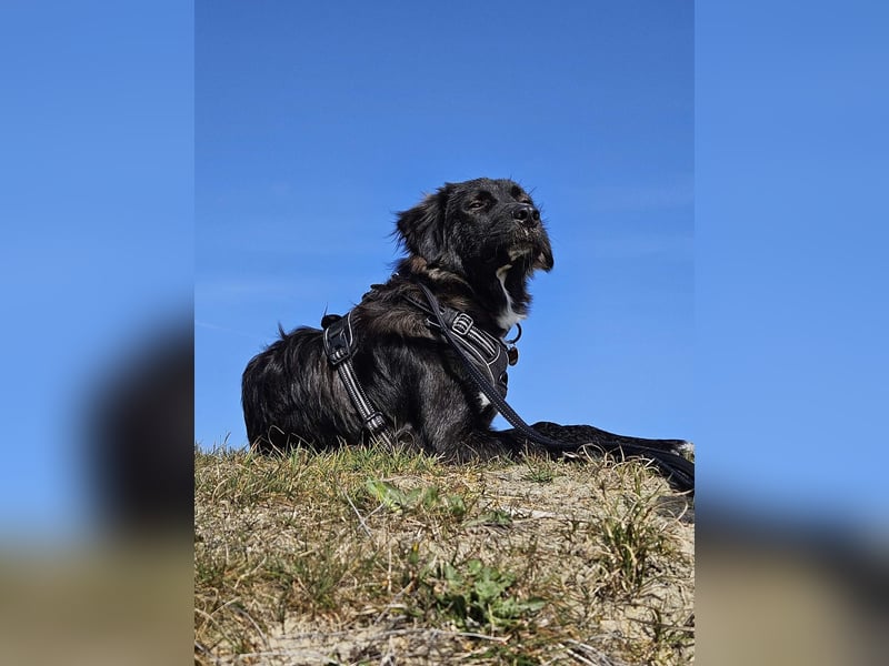 RUBEN ❤  wartet in 37445 Walkenried auf Dich