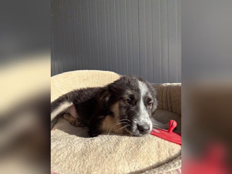 RONDA ❤  wartet in 42281 Wuppertal auf Dich