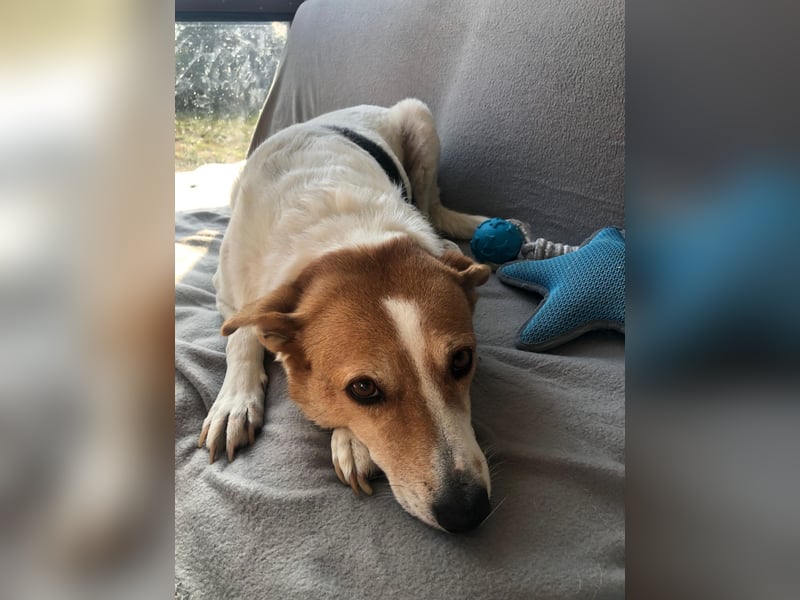 BELLA-BEE ❤️  wartet in 94209 Regen auf Dich