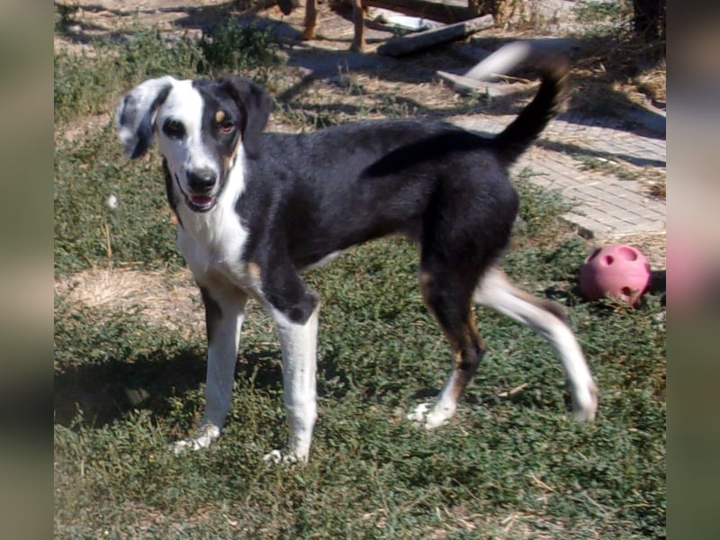 MONDSEE ❤  wartet in 26316 Varel auf Dich