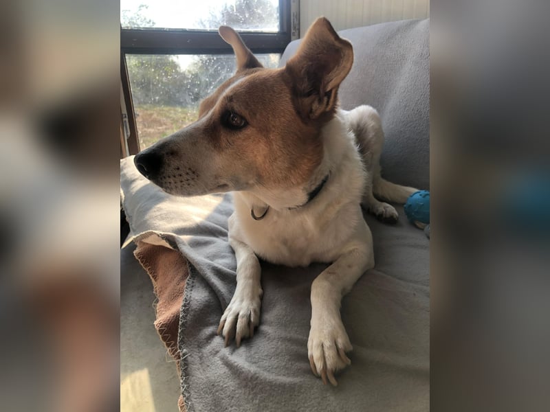 BELLA-BEE ❤️  wartet in 94209 Regen auf Dich
