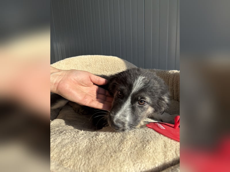 RONDA ❤  wartet in 42281 Wuppertal auf Dich