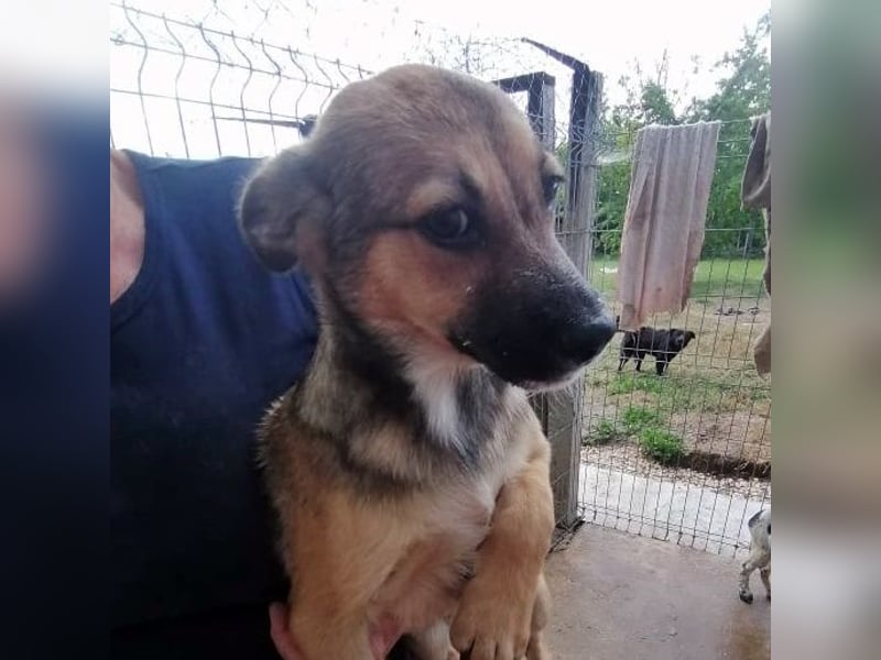 HENRIKE ❤ (wird mittlerweile „Awa“ genannt)  wartet in 90478 Nürnberg auf Dich