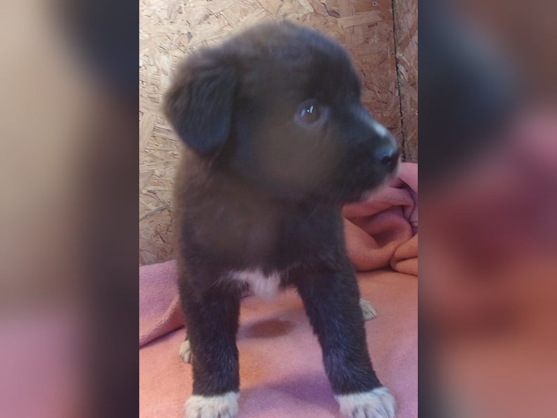 UMINA ❤ wartet in 31547 Rehburg-Loccum  auf Dich