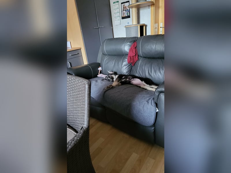 RONDA ❤  wartet in 42281 Wuppertal auf Dich