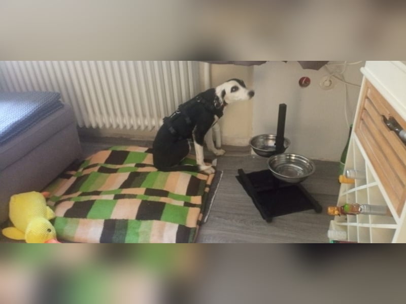 MONDSEE ❤  wartet in 26316 Varel auf Dich