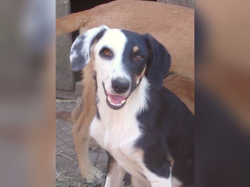 MONDSEE ❤  wartet in 26316 Varel auf Dich