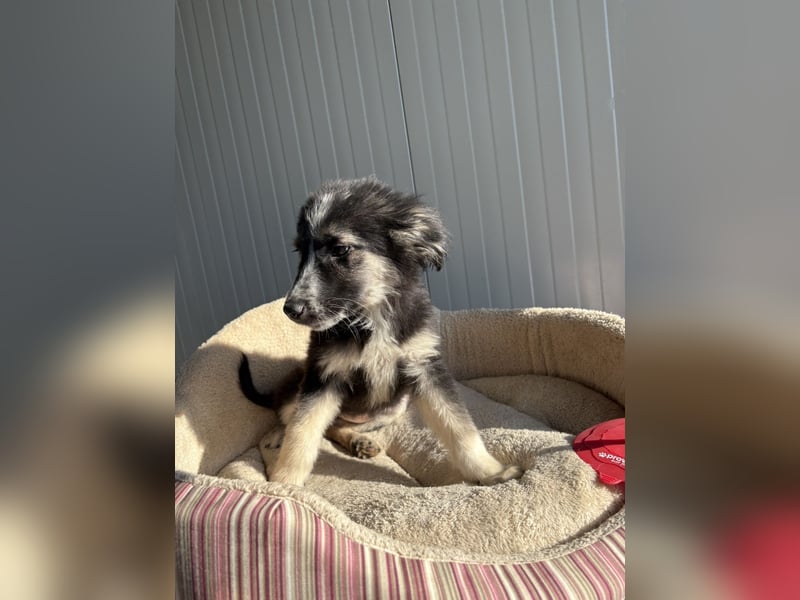 RONDA ❤  wartet in 42281 Wuppertal auf Dich