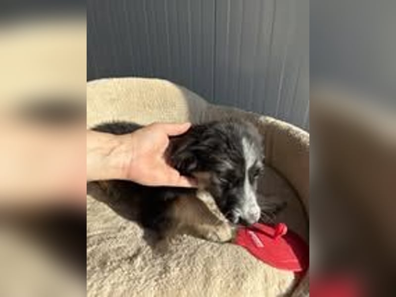 RONDA ❤  wartet in 42281 Wuppertal auf Dich