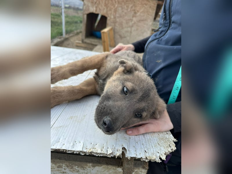 Xerox, süßer geht fast nicht