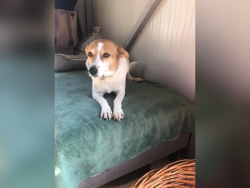 BELLA-BEE ❤️  wartet in 94209 Regen auf Dich