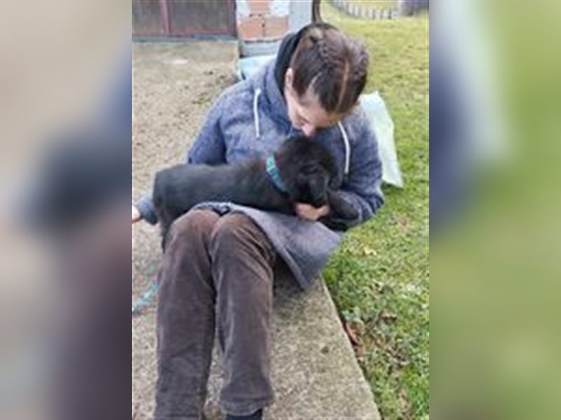 ANNI ❤ sucht Zuhause oder Pflegestelle