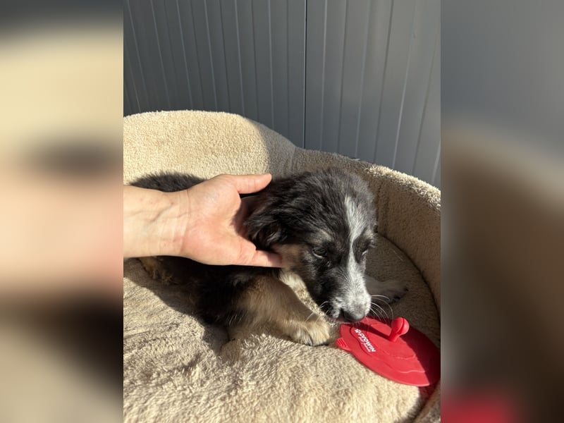 RONDA ❤  wartet in 42281 Wuppertal auf Dich