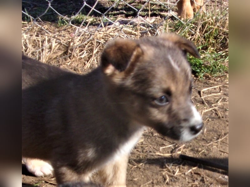 ZEETA ❤ wartet in 12349 Berlin auf DICH