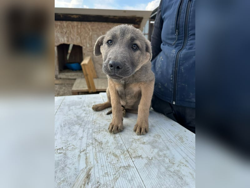 Xerox, süßer geht fast nicht