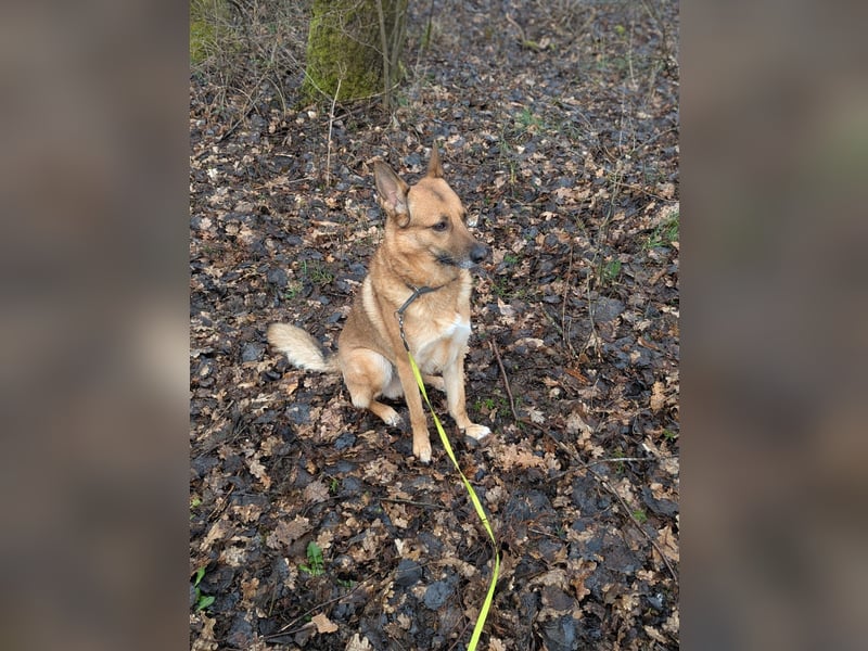 LISKO ❤️  wartet in 54316 Lampaden auf Dich!