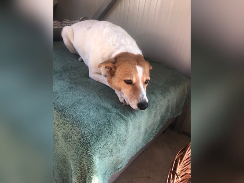 BELLA-BEE ❤️  wartet in 94209 Regen auf Dich