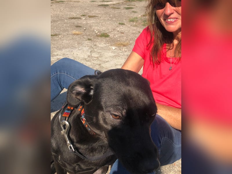 BLACK-PEARL ❤️ sucht Zuhause oder Pflegestelle