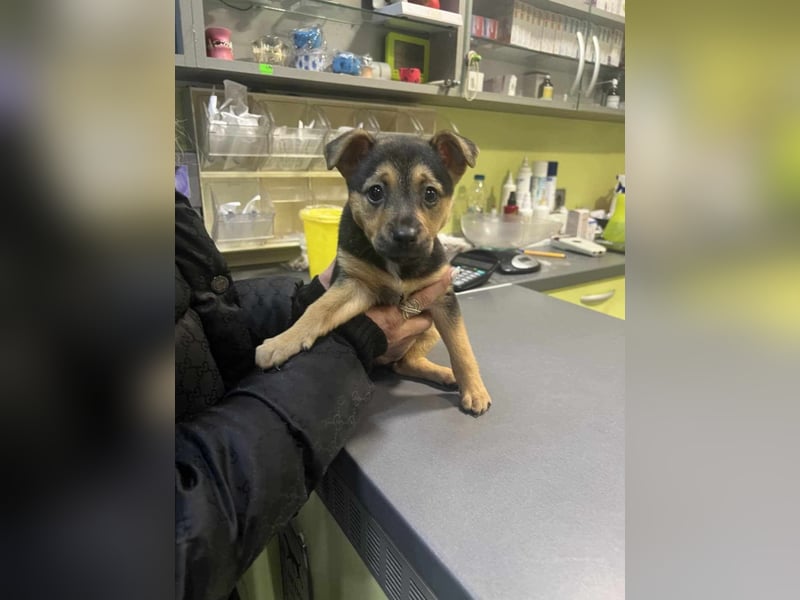 NITA ❤️ wartet in 06844 Dessau–Roßlau auf DICH