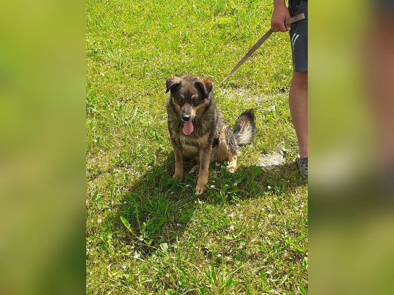 TORI ❤  wartet in 27367 Sottrum auf Dich