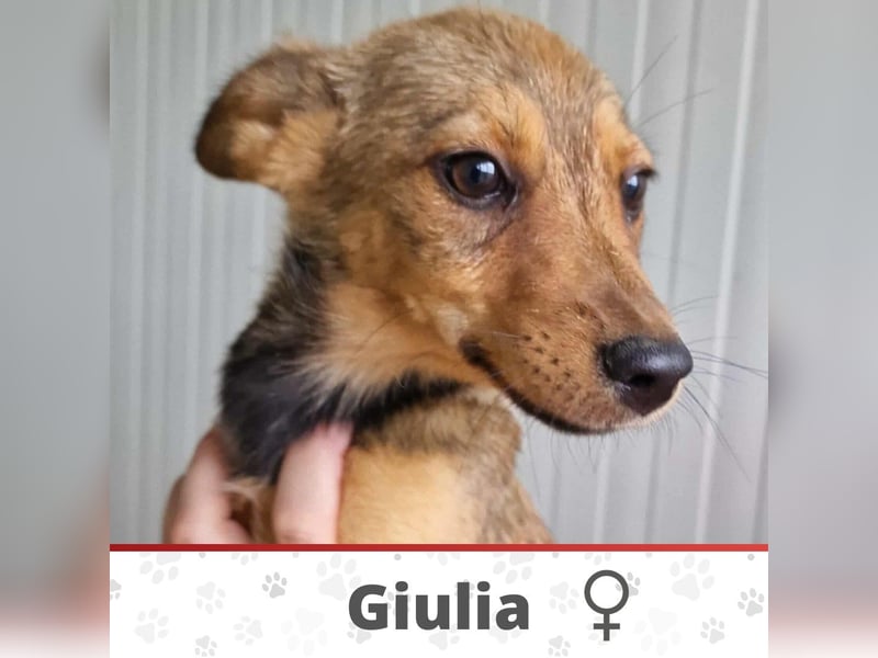 GIULIA ❤ wartet in 51063 Köln auf Dich