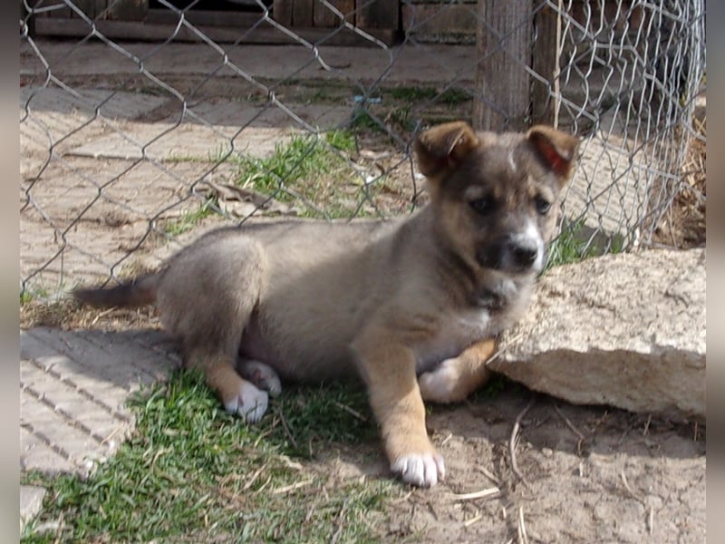 ZEETA ❤ wartet in 12349 Berlin auf DICH