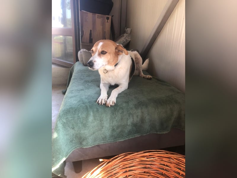 BELLA-BEE ❤️  wartet in 94209 Regen auf Dich