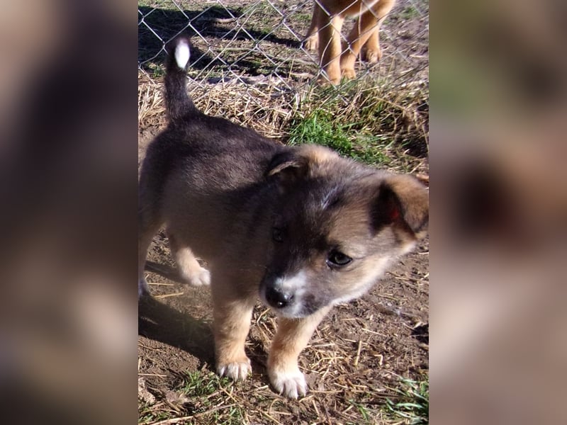 ZEETA ❤ wartet in 12349 Berlin auf DICH