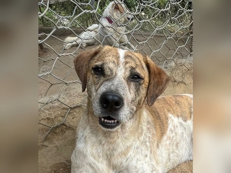 VASCO - V für verträglich, A für ...