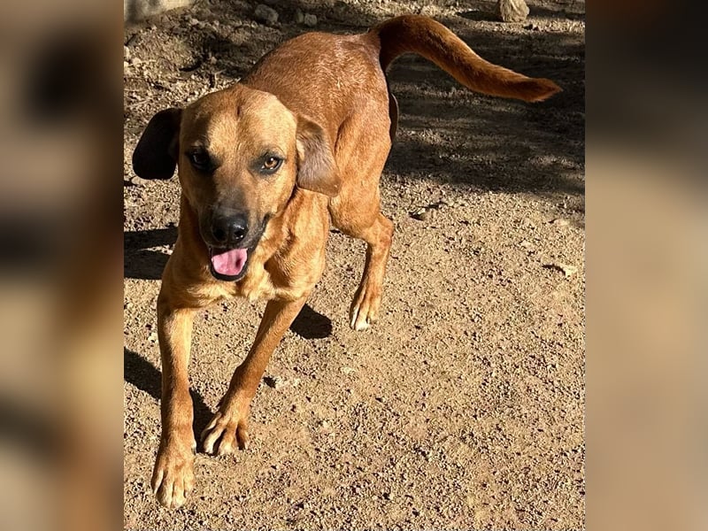 JEIK - Schau mir in die Augen, Kleines