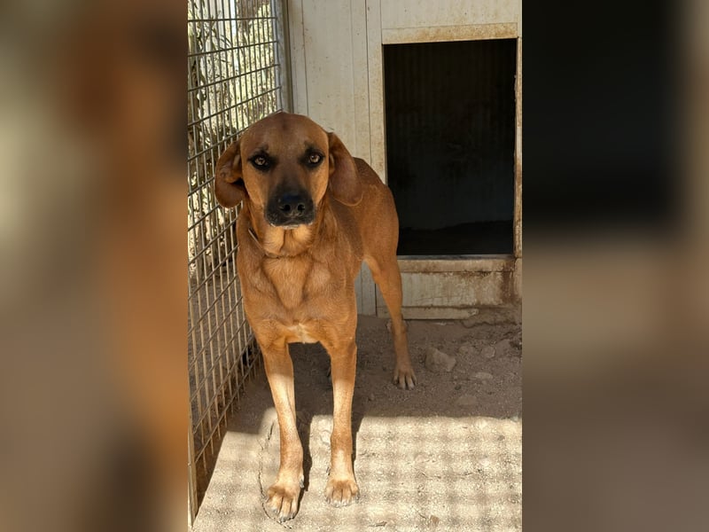 JEIK - Schau mir in die Augen, Kleines