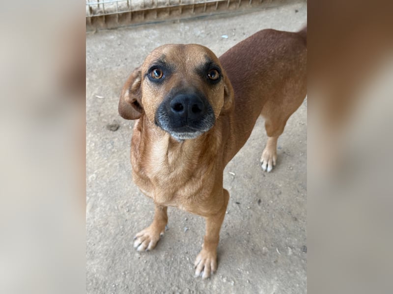 JEIK - Schau mir in die Augen, Kleines