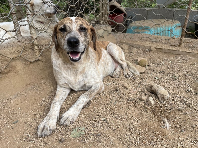 VASCO - V für verträglich, A für ...