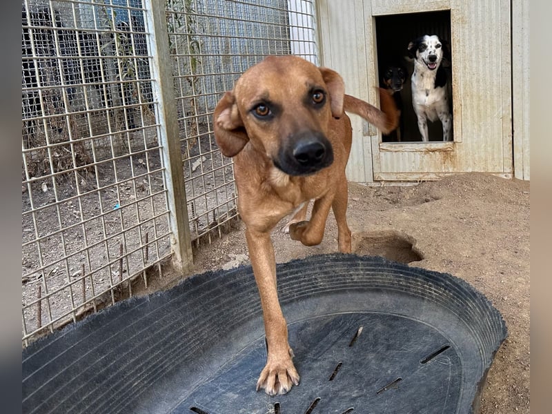 JEIK - Schau mir in die Augen, Kleines