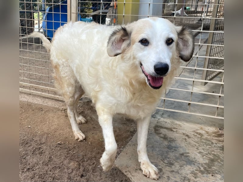 BRUNELLA - lieber Rohdiamant