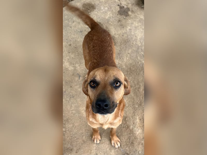 JEIK - Schau mir in die Augen, Kleines