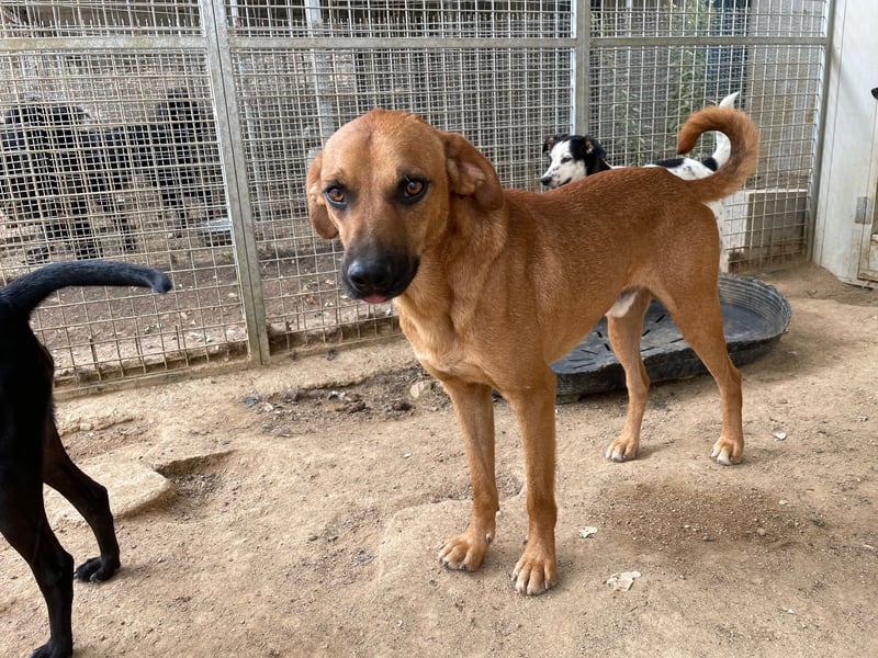 JEIK - Schau mir in die Augen, Kleines