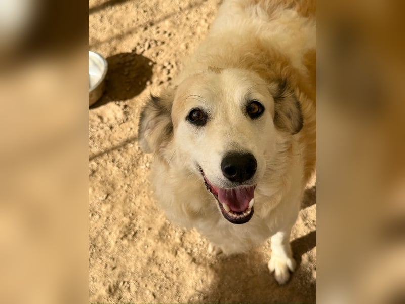 BRUNELLA - lieber Rohdiamant