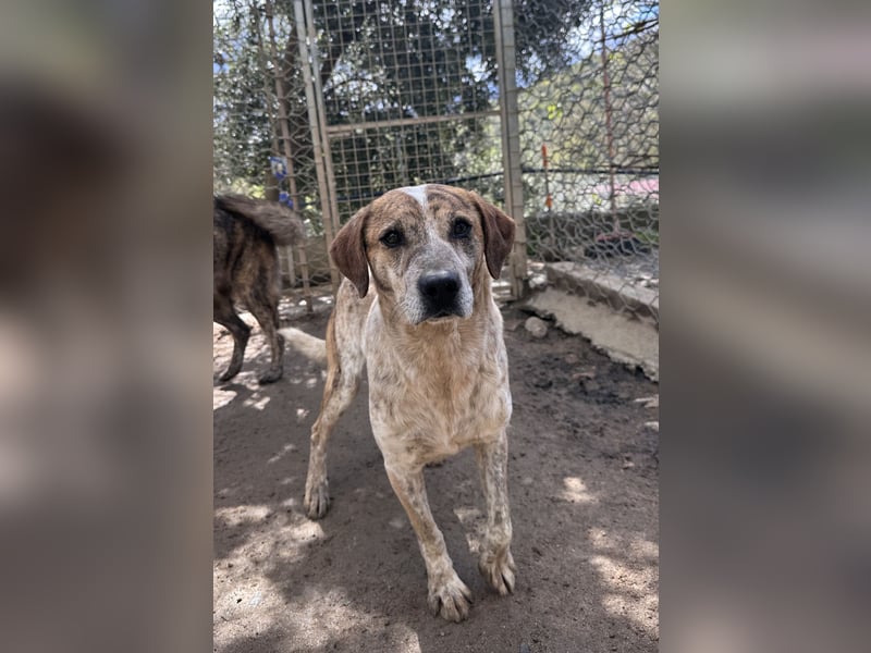 VASCO - V für verträglich, A für ...