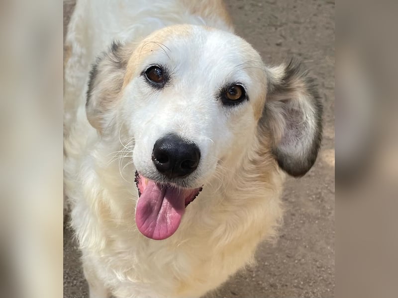 BRUNELLA - lieber Rohdiamant