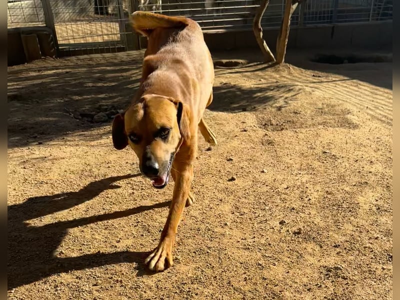 JEIK - Schau mir in die Augen, Kleines