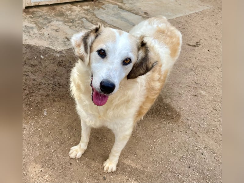 BRUNELLA - lieber Rohdiamant