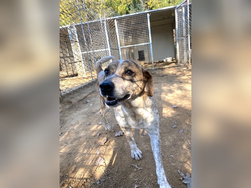 VASCO - V für verträglich, A für ...