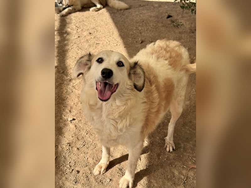 BRUNELLA - lieber Rohdiamant