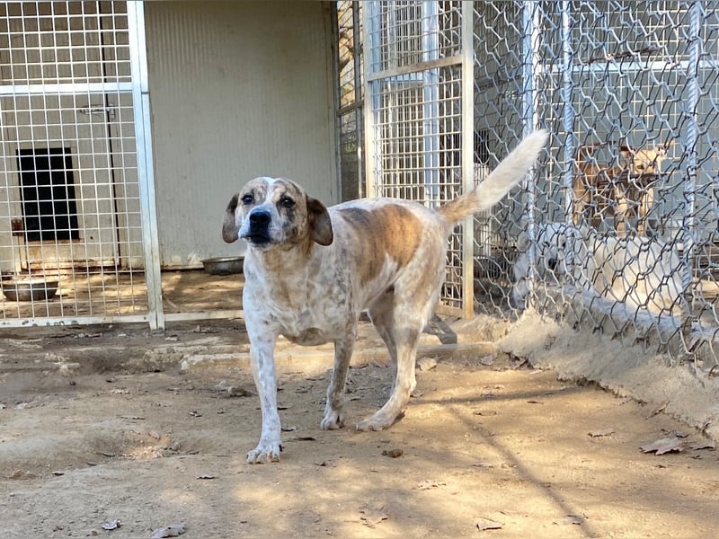 VASCO - V für verträglich, A für ...
