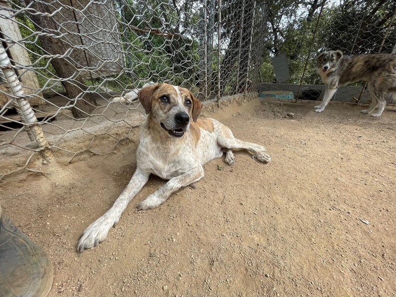 VASCO - V für verträglich, A für ...