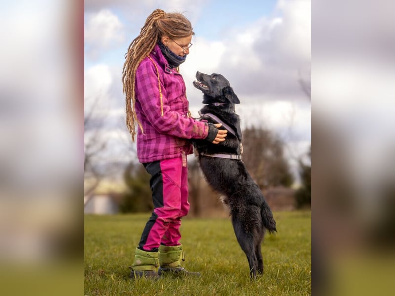 Mobby - verschmust und intelligent - Tierhilfe Franken e.V.