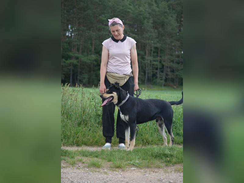 Schmusebacke Fynn möchte was erleben, mit seinen Menschen. Toller Hund!